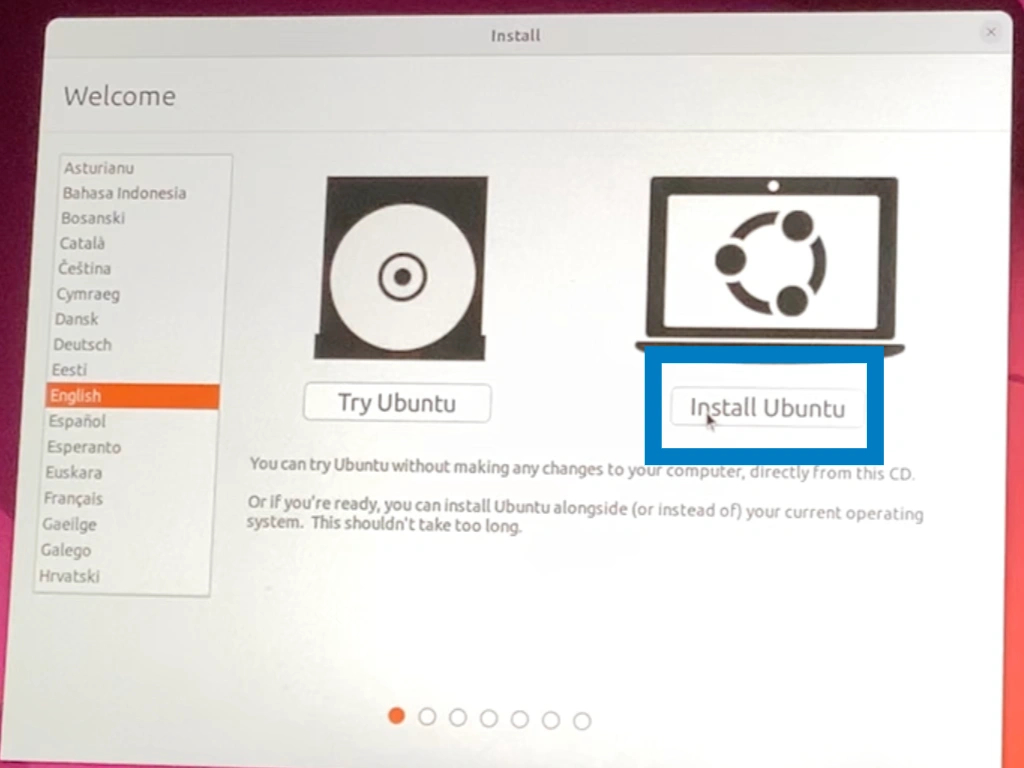 Ubuntuセットアップにおいて、『Install　Ubuntu』を選択している画像